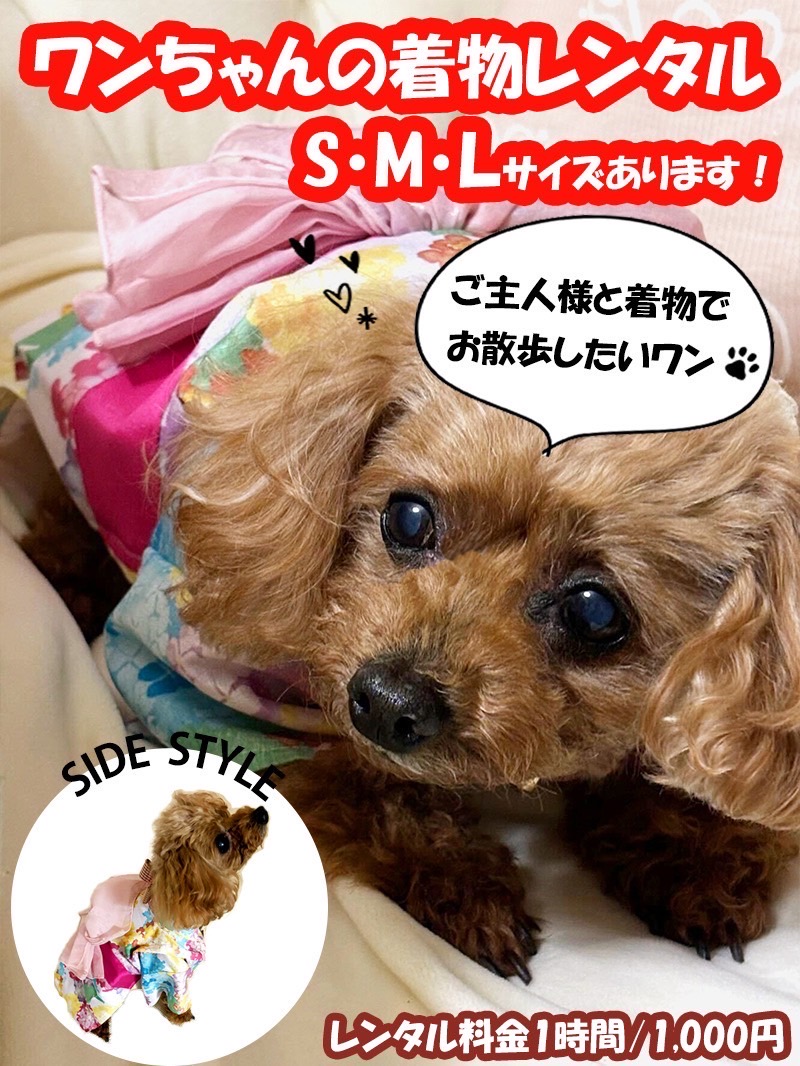 🐶わんちゃん浴衣レンタル🐶☆5月25日26日限定！☆わんちゃんイベント
